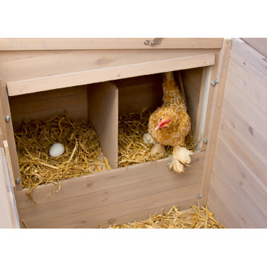 Galpão para galinhas Emma Kerbl Hobbyfarming Natural Castanho