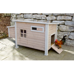 Galpão para galinhas Emma Kerbl Hobbyfarming Natural Castanho