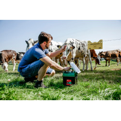 Power Shock B 290 AKO Verde