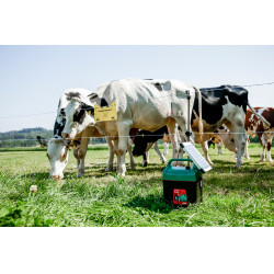 Power Shock B 290 AKO Verde