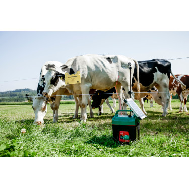 Power Shock B 290 AKO Verde