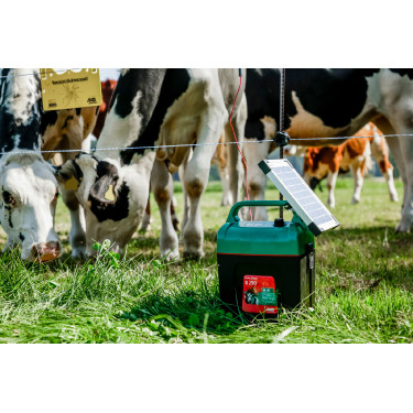 Power Shock B 290 AKO Verde