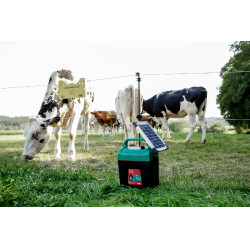 Power Shock B 290 AKO Verde