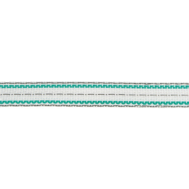 Fita de cerca Premium Plus AKO Branco / verde