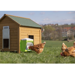 Alimentador com dispositivo anti-pragas Kerbl Hobbyfarming Verde / cinza claro Alimentador com dispositivo anti-pragas Kerbl Hobbyfarming Verde / cinza claro