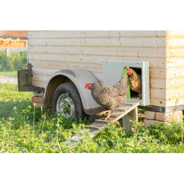 Porta de galinheiro SmartCoop Kerbl Hobbyfarming Cinzento Porta de galinheiro SmartCoop Kerbl Hobbyfarming Cinzento