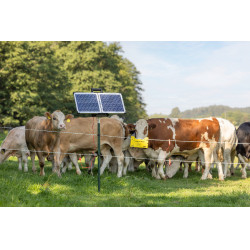 Sun Power S 2400 smart AKO Verde