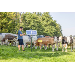 Sun Power S 2400 smart AKO Verde