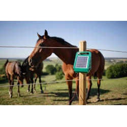 Sun Power S 250 AKO Verde