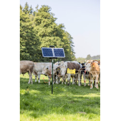 Sun Power S 3000 AKO Verde Sun Power S 3000 AKO Verde