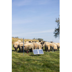 Sun Power S 3000 AKO Verde Sun Power S 3000 AKO Verde