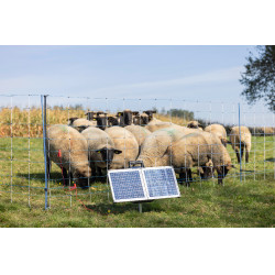 Sun Power S 3000 AKO Verde Sun Power S 3000 AKO Verde