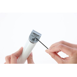 Cabeça de corte de substituição para Exacta/Isis Aesculap Cinzento