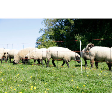 TitanLight Net Kerbl Hobbyfarming Laranja / preto