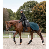 Capa para garupa impermeável Waldhausen Salzburg Azul petróleo Capa para garupa impermeável Waldhausen Salzburg Azul petróleo