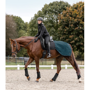 Capa para garupa impermeável Waldhausen Salzburg Azul petróleo