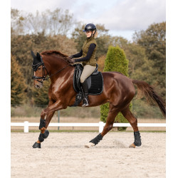 Guetres de dressage Waldhausen Comfort Fit Preto