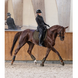 Guetres de dressage Waldhausen Comfort Fit Castanho verde