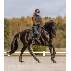 Guetres de dressage Waldhausen Comfort Fit Castanho verde