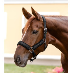 Cabresto Waldhausen Soft Touch Preto Cabresto Waldhausen Soft Touch Preto