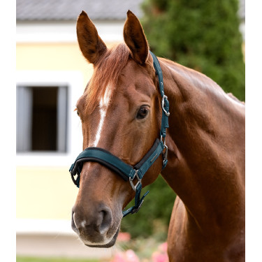 Cabresto Waldhausen Soft Touch Azul petróleo