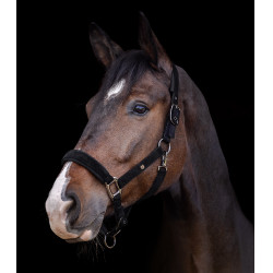 Caveção Waldhausen St. Gallen Preto