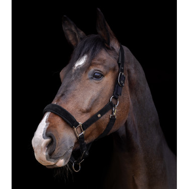 Caveção Waldhausen St. Gallen Preto