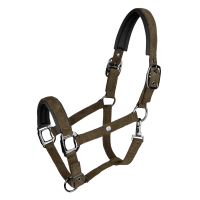 Caveção Waldhausen St. Gallen Castanho verde