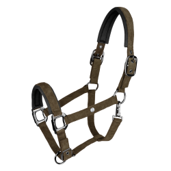 Caveção Waldhausen St. Gallen Castanho verde