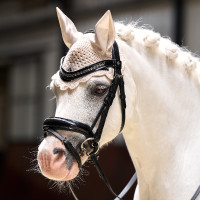 Touca anti-moscas Imperial Riding Rebel Cinza / areia Cinzento Touca anti-moscas Imperial Riding Rebel Cinza / areia Cinzento