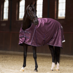 Capa de paddock Imperial Riding Super-dry 100gr Figue Violeta