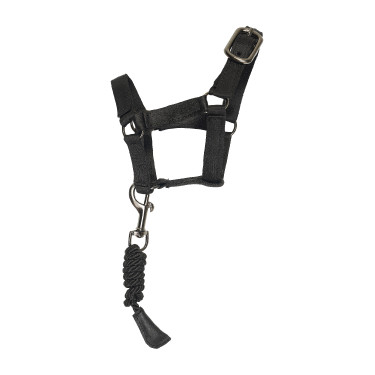 Conjunto de brinquedos de estábulo Imperial Riding Pequeno Glitter preto Conjunto de brinquedos de estábulo Imperial Riding Pequeno Glitter preto