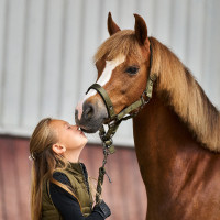 Caveção Imperial Riding Rebel Verde-oliva