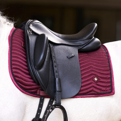 Sela Imperial Riding Rebel dressage