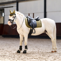 Sela Imperial Riding Rebel dressage Branco