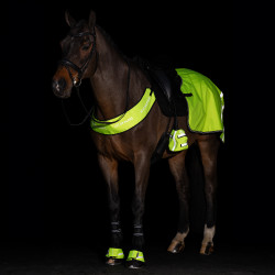Protetores de dedos para estribos Imperial Riding Reflective, conjunto com 2 peças Amarelo