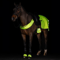 Peitoral Imperial Riding Reflective Amarelo Peitoral Imperial Riding Reflective Amarelo