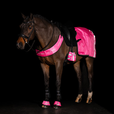 Capa traseira Imperial Riding Reflective Rosa néon