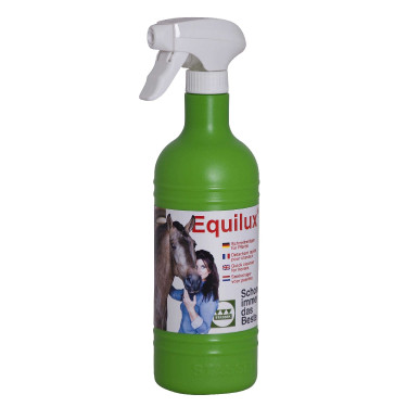 Limpeza para traje Equilux Stassek