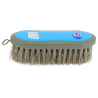 Tampa Hippo-Tonic...