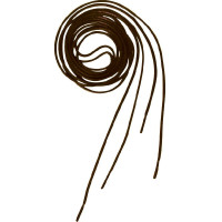 Atacadores Equithème Castanho Atacadores Equithème Castanho