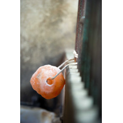 Pedra de sal Hippotonic do Himalaia