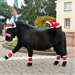 Touca de Natal com orelhas em forma de chifre de rena Touca de Natal com orelhas em forma de chifre de rena