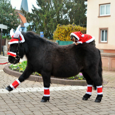 Touca de Natal com orelhas em forma de chifre de rena Touca de Natal com orelhas em forma de chifre de rena