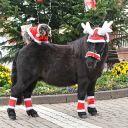 Touca de Natal com orelhas em forma de chifre de rena Touca de Natal com orelhas em forma de chifre de rena