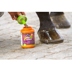 Óleo para cascos Equinatura com pincel 450 mL Óleo para cascos Equinatura com pincel 450 mL