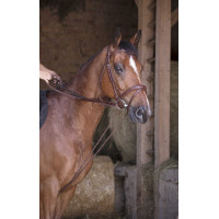 Rendas alemãs couro / corda Norton Pro Havana Castanho Rendas alemãs couro / corda Norton Pro Havana Castanho