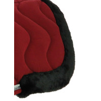 Amortecedor de dorso Equithème Jump Pro Branco / branco brilhante