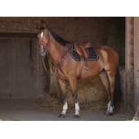 Cinta combinada Eric Thomas Hybrid Havana Castanho