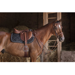 Cinta combinada Eric Thomas Hybrid Havana Castanho